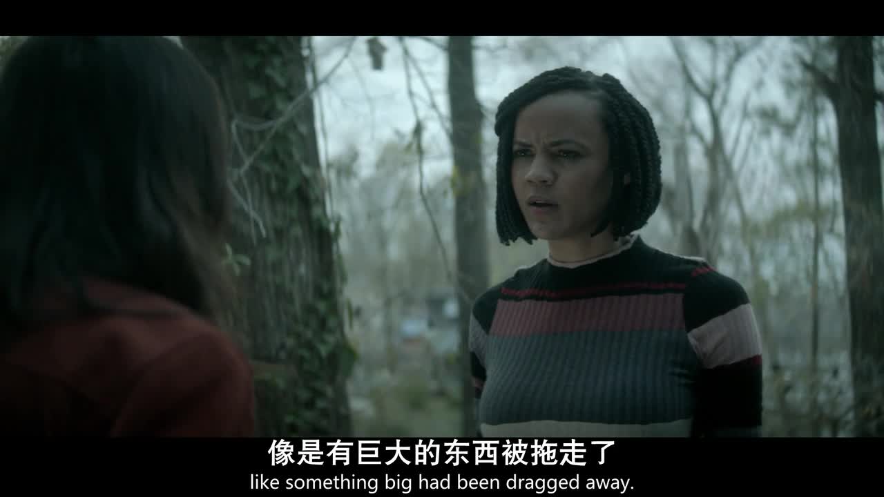 沼泽怪物.Swamp.Thing.2019.S01E09.HD720P.X264.AAC.English.CHS-ENG.Mp4Ba