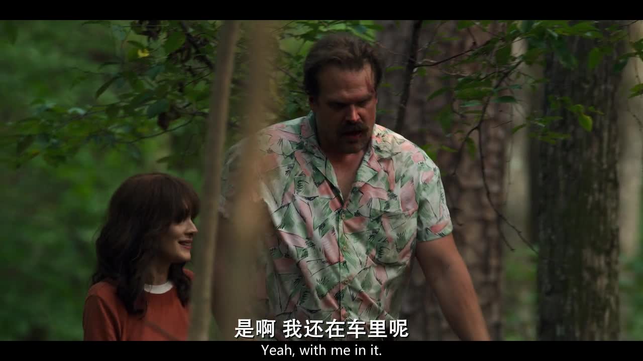 怪奇物语.Stranger.Things.S03E05.2019.HD720P.X264.AAC.English.CHS-ENG.Mp4Ba